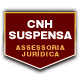 Despachante para tirar pontos da CNH provisória na Vila Anhanguera