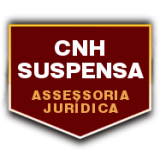 Despachante para tirar pontos da CNH provisória no Jardim Clélia